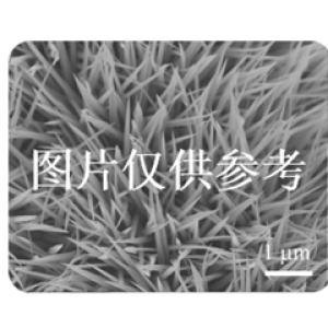 泡沫鎳負載鈦酸鈷-四氧化三鈷復合納米管陣...